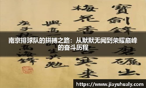 南京排球队的拼搏之路:从默默无闻到荣耀巅峰的奋斗历程